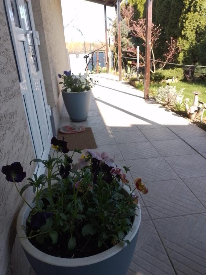 Casa Mamei Suceava Exterior photo